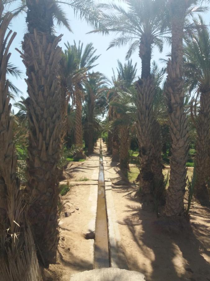 מלון מרזאוגה Nomad House מראה חיצוני תמונה